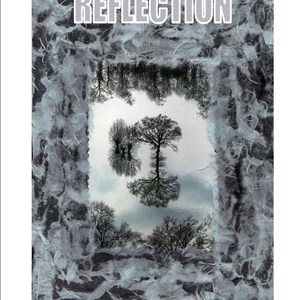 2010 - Reflection