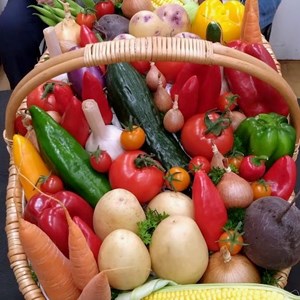 Mannings Heath & District Horticultural Society Summer Show 2025