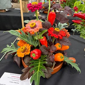 Mannings Heath & District Horticultural Society Photo Gallery
