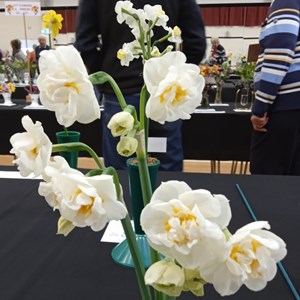 Mannings Heath & District Horticultural Society Photo Gallery