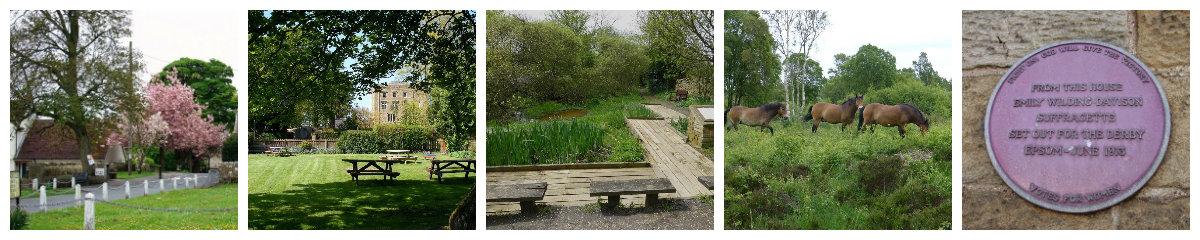 Longhorsley Parish Council