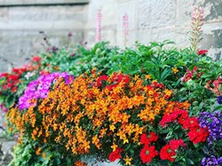 Ightfield Parish Council Calverhall in Bloom