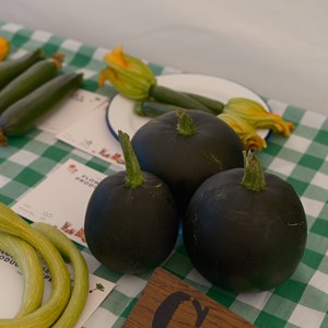 HBT Horticultural Society Photographs 2026