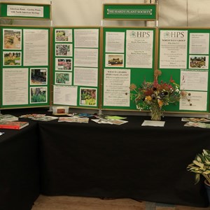 information Panels