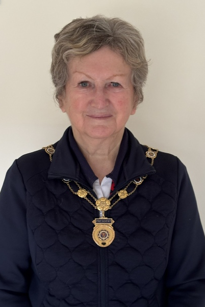 Bowls Hampshire Presidents
