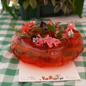 HBT Horticultural Society Photographs 2026