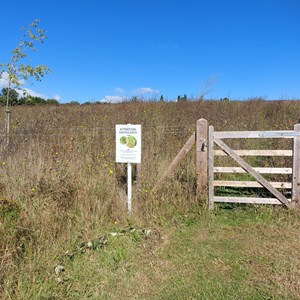 BMAT Langley Park country park