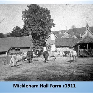 Mickleham & Westhumble Local History Group Not Such Everyday Lives