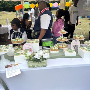 Snodland Town Council Snodland Fete (Previously Carnival)