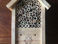 Wellow Mens Shed Gallery