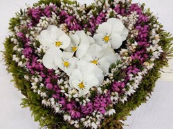 Bucklebury and Marlston Horticultural Society Spring Show Report 2026