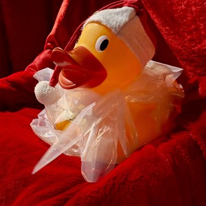 Louth & District Lions Santa