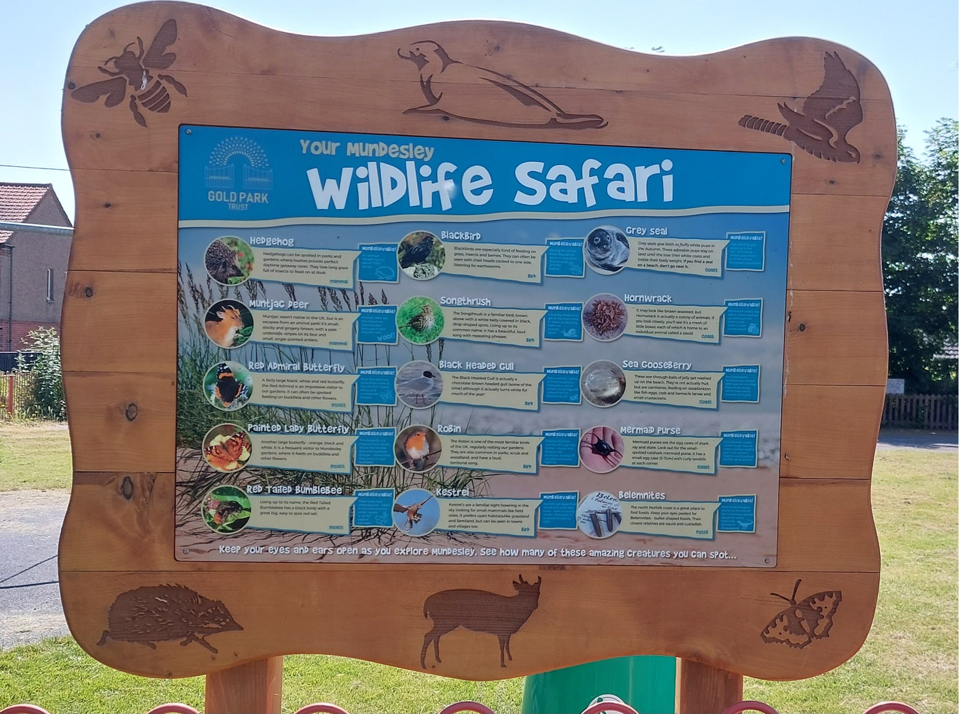 Brand new Wildlife Safari board