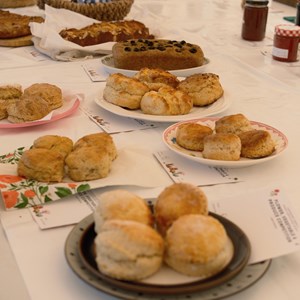 HBT Horticultural Society Photographs 2026