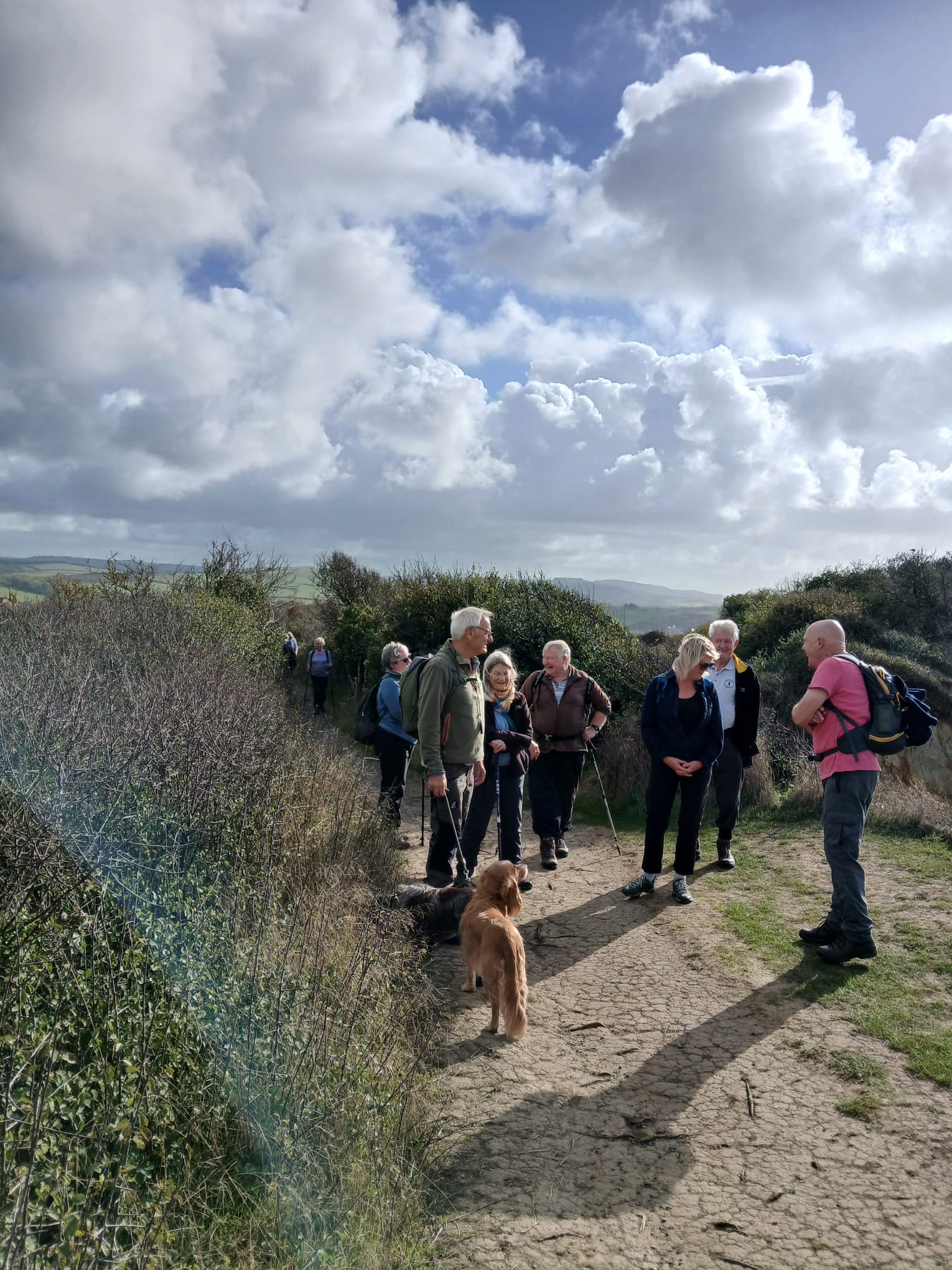 On the Coast Path near Eype