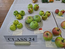 Bucklebury and Marlston Horticultural Society Autumn Show Report 2026