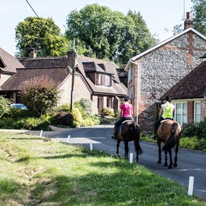 Horses in Five Bells Lane