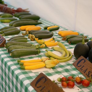 HBT Horticultural Society Photographs 2026