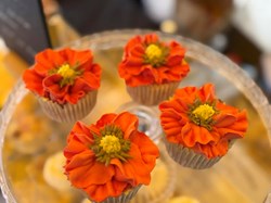 Remembrance Poppy Cakes 2025