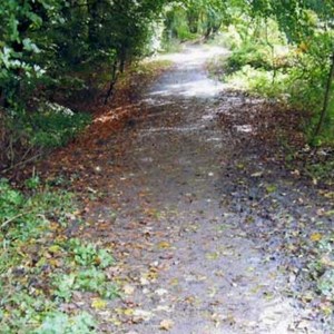 The Cockshutt, Wrockwardine Wood and Trench Parish Council