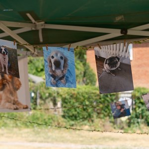 HBT Horticultural Society Photographs 2026