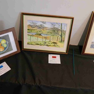 Goodworth Clatford Parish Council  Fete 2026 photos