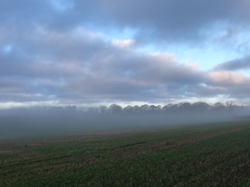 Back of The Dene towards Esseborne, last day of 2020 - credit:  Judy Turley