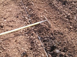 Rake back soil over compost