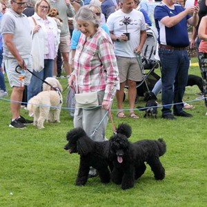 Goodworth Clatford Parish Council Village Fete/Garden Show