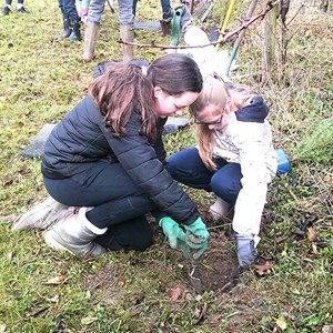 Sustainable Bourne Valley Hirst Meadow