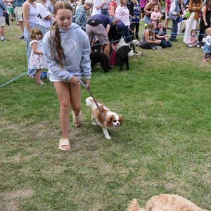 Goodworth Clatford Parish Council  Fete 2026 photos