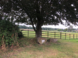 Southorpe Parish Council Home