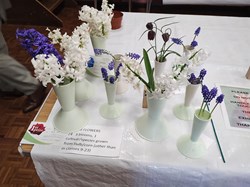 Sutton Valence Gardeners Association The Annual Shows