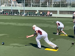 Henfield Bowling Club The Bowls