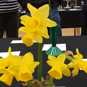 Mannings Heath & District Horticultural Society Photo Gallery
