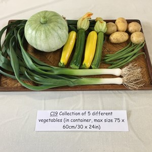 Mickleham and Westhumble Horticultural Society July 2017 show pictures