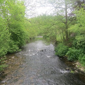 River Onny