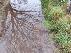 Probus Shelley Walks 2026