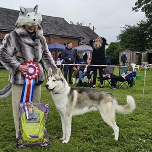 Whixall Social Centre Whixall Companion Dog Show 2024