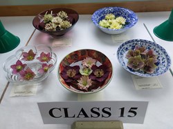 Bucklebury and Marlston Horticultural Society Spring Show Report 2026