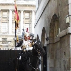 'Gunner' on duty with the Household Cavalry