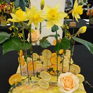 Mannings Heath & District Horticultural Society Photo Gallery