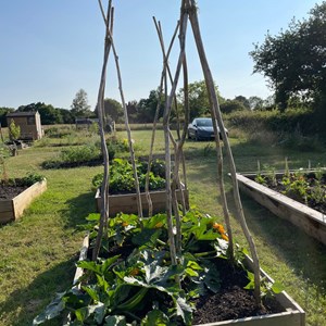 Benenden Parish Council Allotment Association