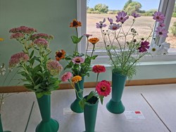 Bucklebury and Marlston Horticultural Society Autumn Show Report 2026