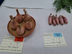 Bucklebury and Marlston Horticultural Society Autumn Show Report 2026