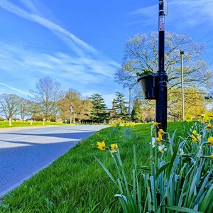 Crakehalll with Langthorne Parish Council Gallery