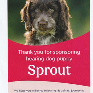 Our Sponsored Hearing Dog