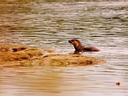 Photo by Stephen Lloyd-Smart