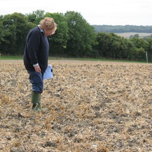 ... and Nancy looking for treasures and marking them up on a grid!