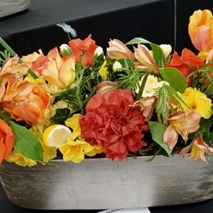 Mannings Heath & District Horticultural Society Photo Gallery